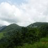 Ponmudi Hills